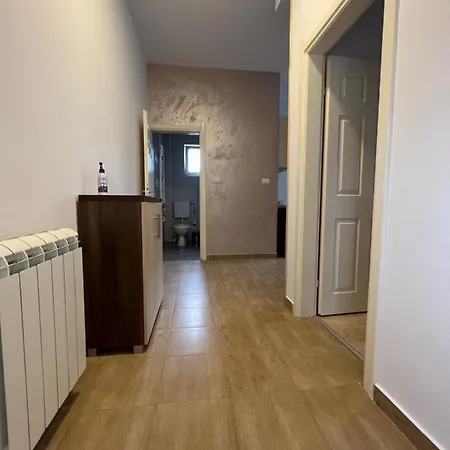 Lili 2 * بلغراد